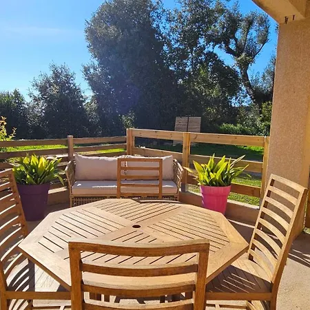 T2 Paisible Quartier Vigna Majo, Olmeto Apartment